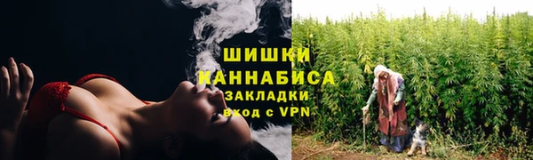 ПСИЛОЦИБИНОВЫЕ ГРИБЫ Алзамай