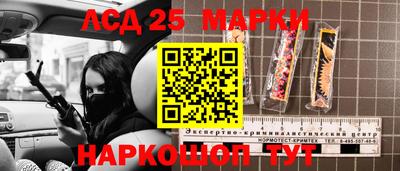 ГАЛЛЮЦИНОГЕННЫЕ ГРИБЫ Кингисепп