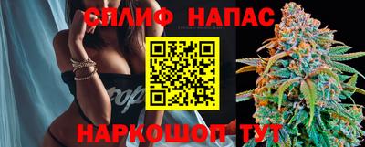 ГАЛЛЮЦИНОГЕННЫЕ ГРИБЫ Кингисепп