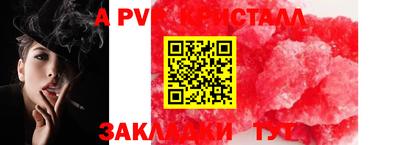 ГАЛЛЮЦИНОГЕННЫЕ ГРИБЫ Кингисепп