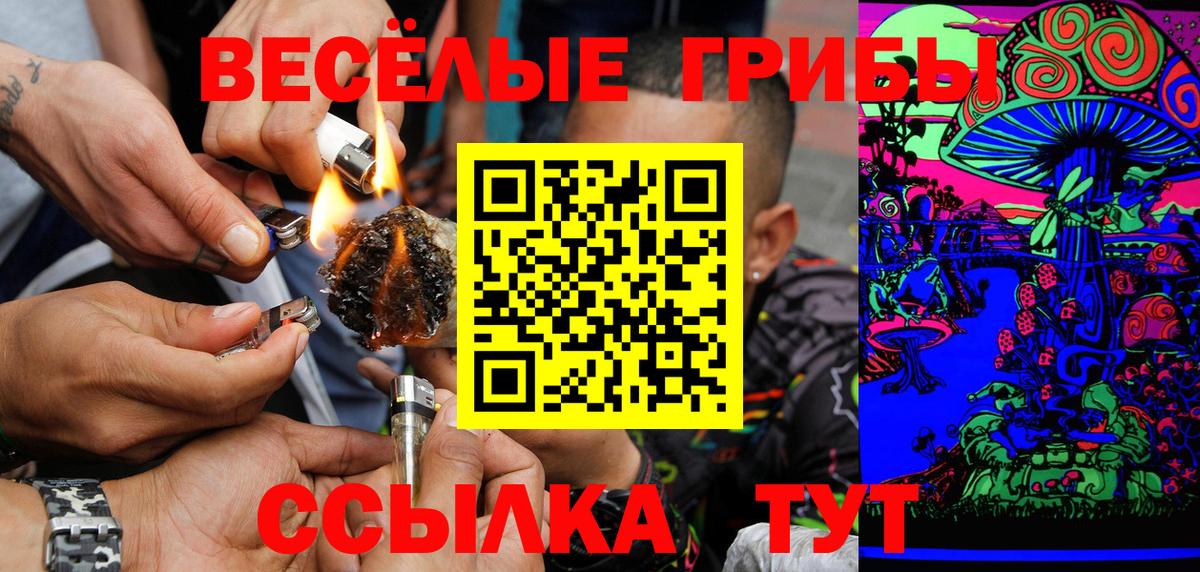 Галлюциногенные грибы Psilocybe Кудрово