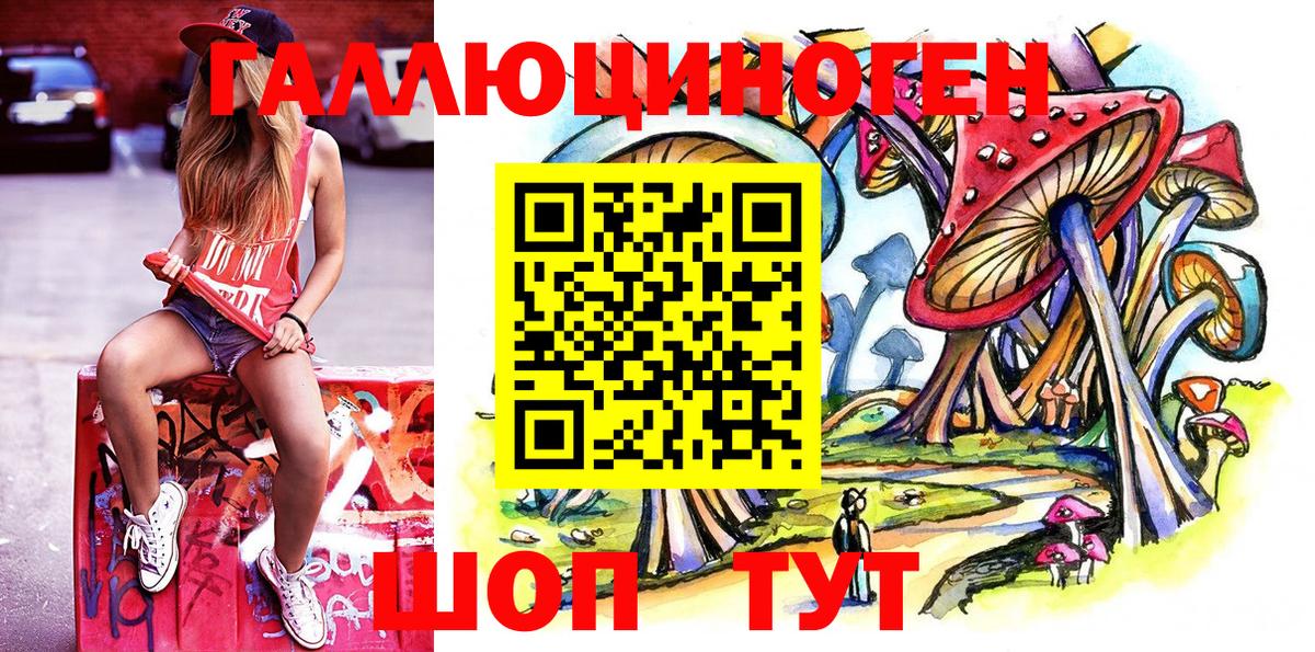 Кудрово  Галлюциногенные грибы прущие грибы  Вход с VPN 